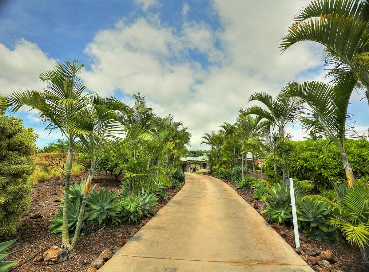 Tropical Landscaping and Irrigation