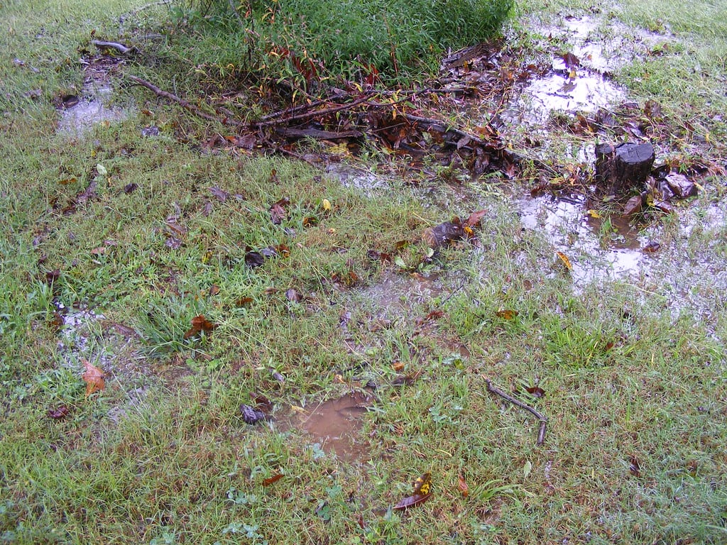 Irrigation System Saturated Soil Why is my water bill so high?